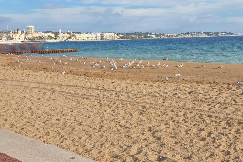T2 Climatise A 5 Minutes A Pied De La Plage Avec Parking, Piscine Et Wifi Fréjus Екстериор снимка